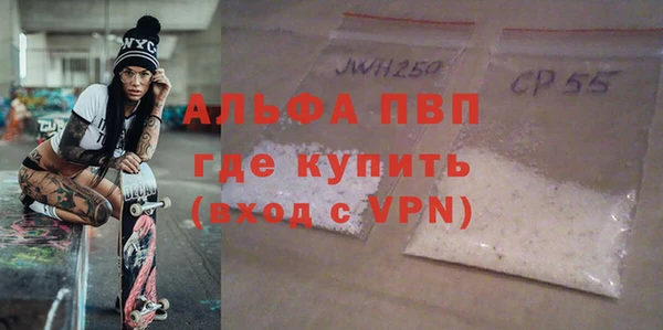 прущие грибы Медногорск