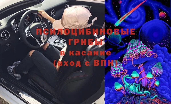 прущие грибы Медногорск