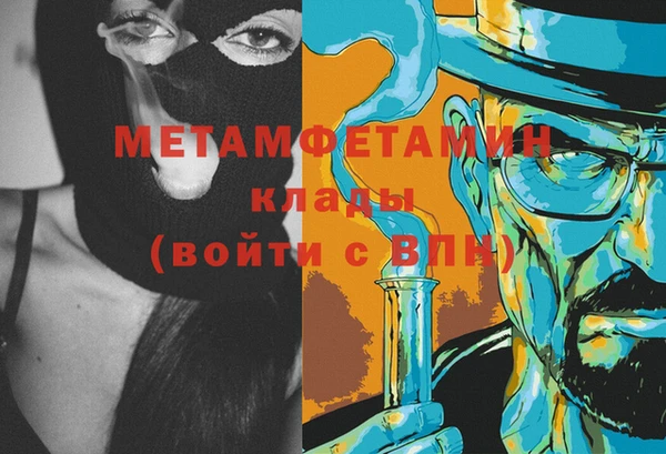 прущие грибы Медногорск
