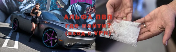 прущие грибы Медногорск