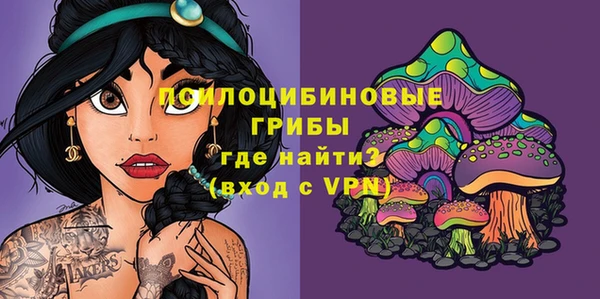 прущие грибы Медногорск