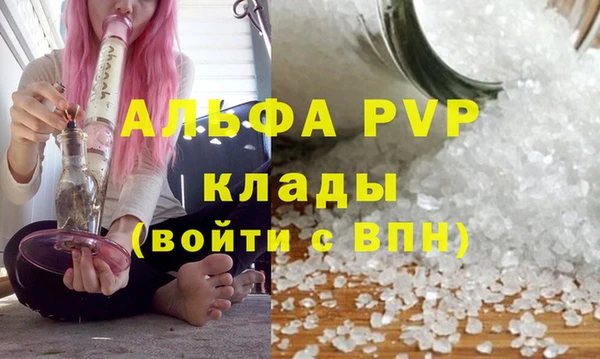 прущие грибы Медногорск