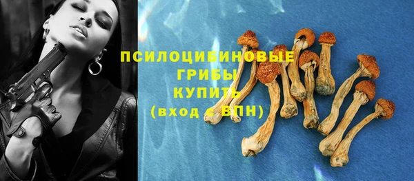 соль ск Щигры