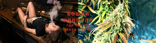 прущие грибы Медногорск