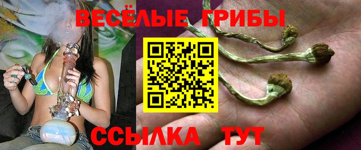 Галлюциногенные грибы Cubensis Йошкар-Ола
